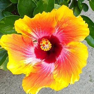 Meet your Posher, Neil